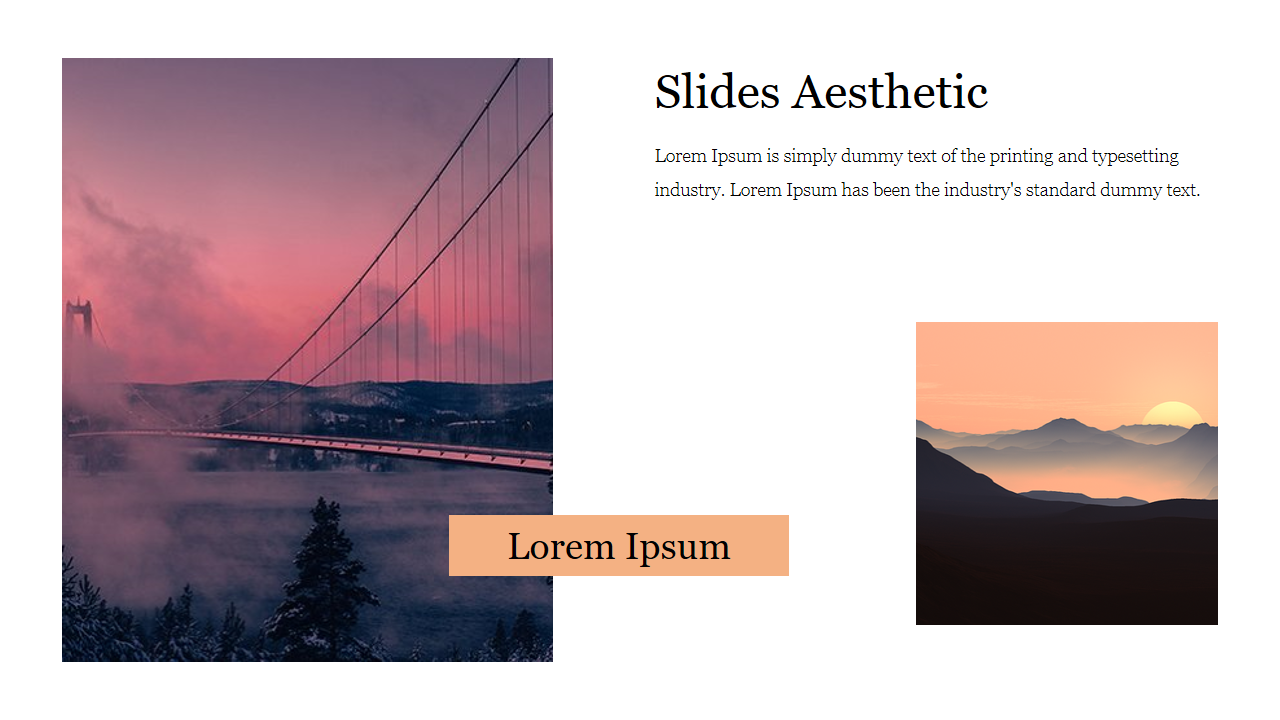  Aesthetic Google Slides and Templates for Presentation